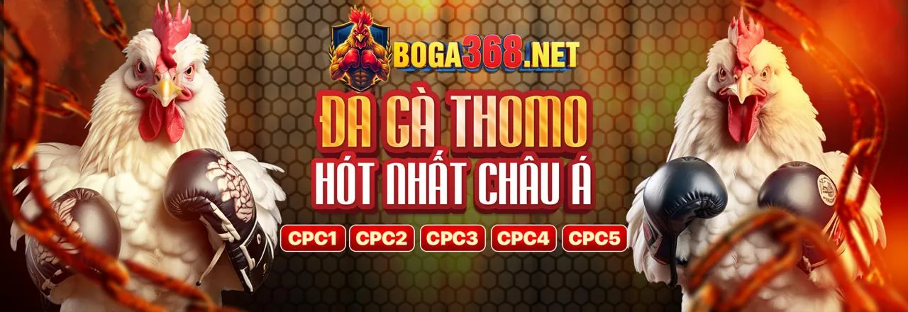 Hỗ Trợ 24/7 f8bet beta 2